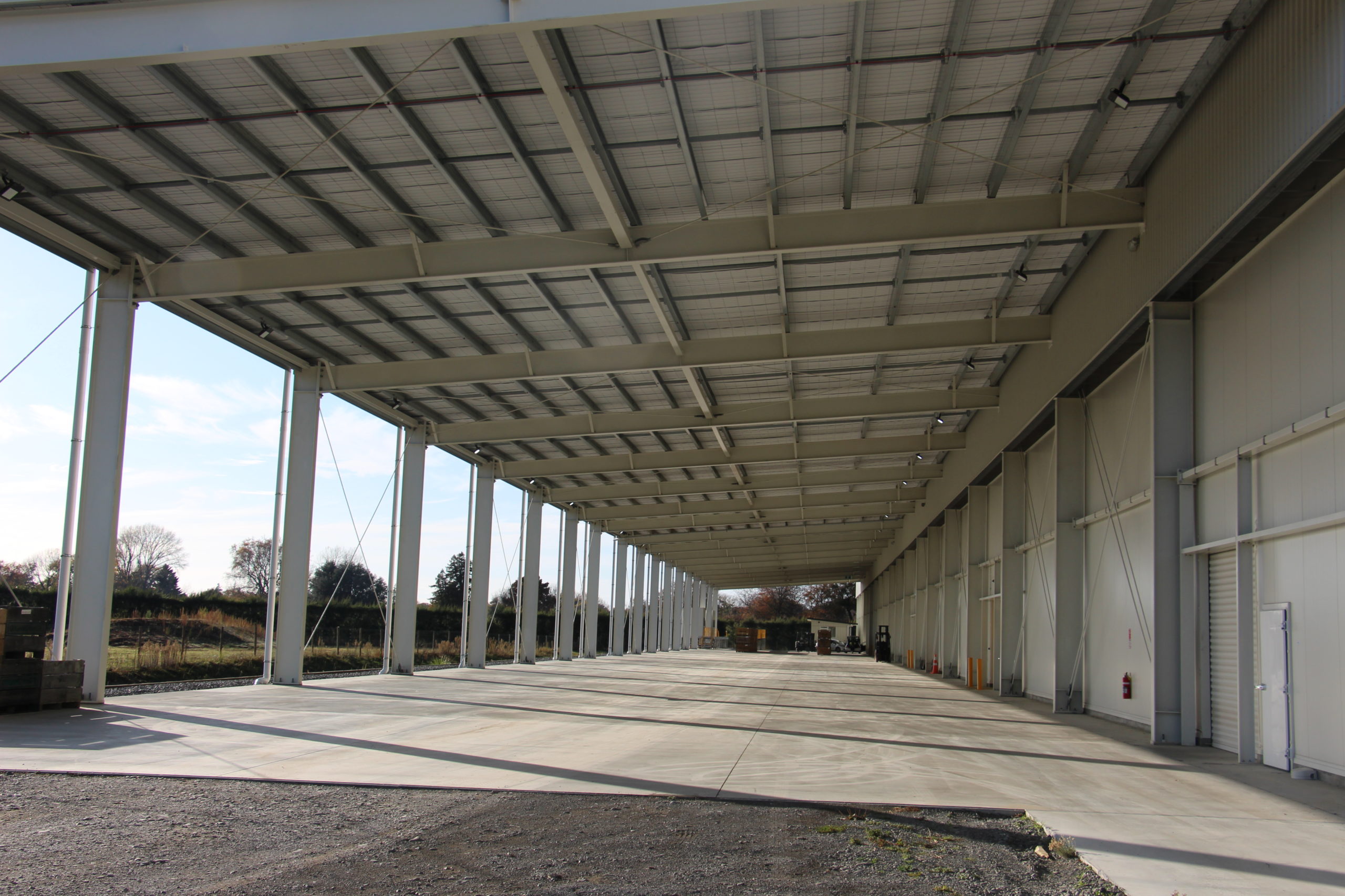 britkin-Freshmax_canopy2