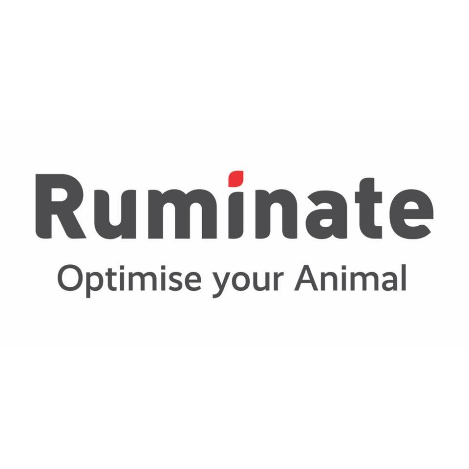 Runimate-Logo-White